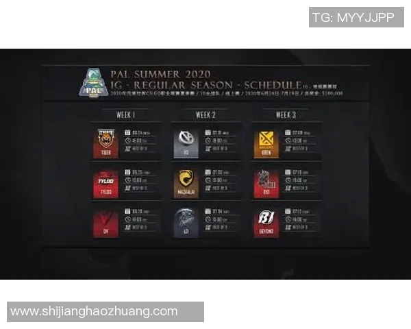 WE战队在CSGO中的转型之路与成败得失分析