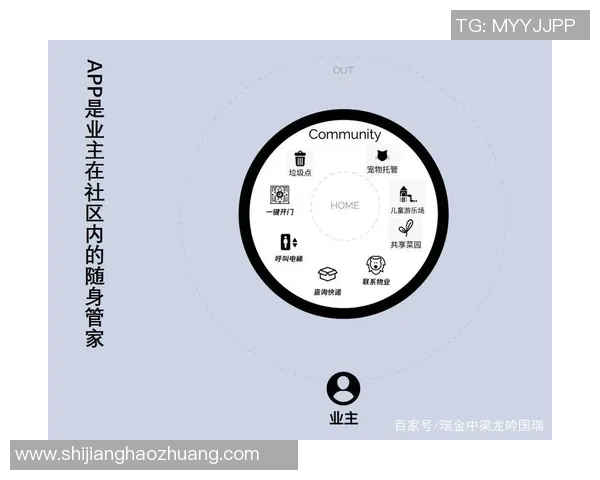 北京排球队战术解析：构建高效控制体系的策略与实践