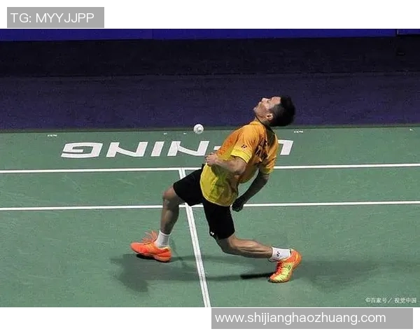 从零起步掌握羽毛球战术技巧全解析助你成为场上高手