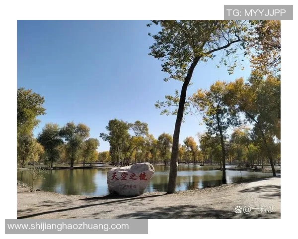 探索阿拉巴的魅力与风情揭开这片神秘土地的历史与文化之旅