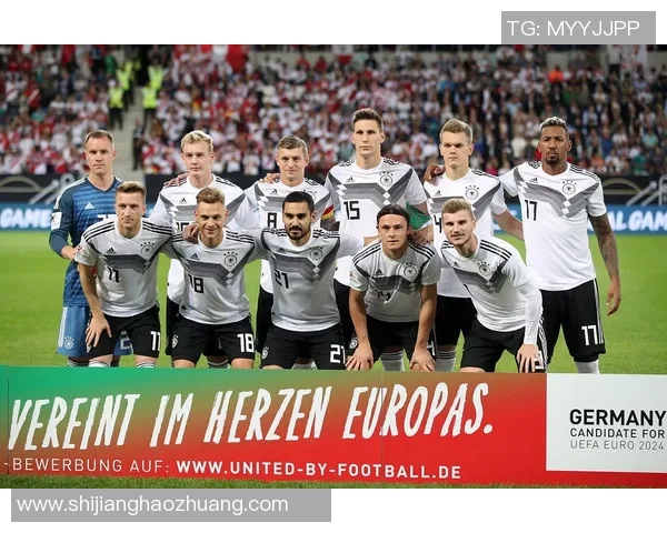 2006年世界杯经典对决荷兰队与塞黑队的精彩较量回顾