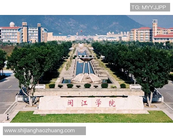 成都排球队阵地战革新探索与实践的全景分析与展望MBA