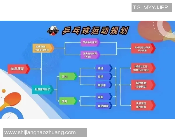 乒乓球的魅力:深入了解上海乒乓球队的团队合作与默契精神