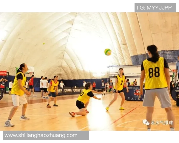 排球新手必看：全面掌握状态与技巧的入门指南